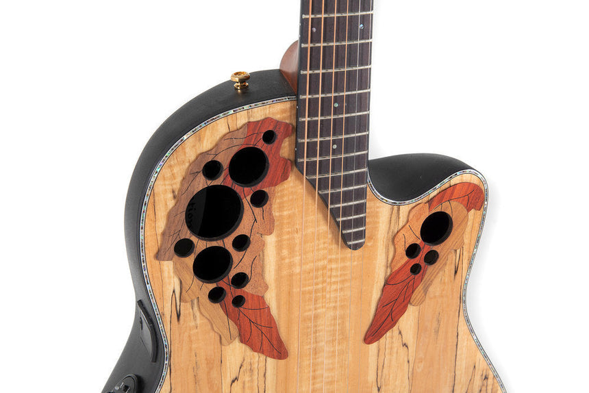 Ovation Celebrity Elite Plus CE44P-SM-G Spalted Maple Elektro-Acousticguitar - Musik-Ebert Gmbh