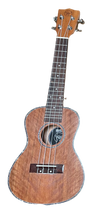 AMI Shaka Sopran Ukulele Waveseeker Mahagoni inkl. Tasche - Musik-Ebert Gmbh