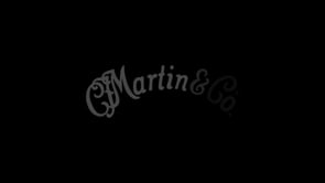 Guitare acoustique Martin Guitars 000-15M - avec étui softlight 